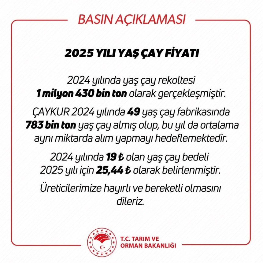 Yaş çay alım fiyatı açıklandı! 2025’te kilogram başına 25,44 TL!