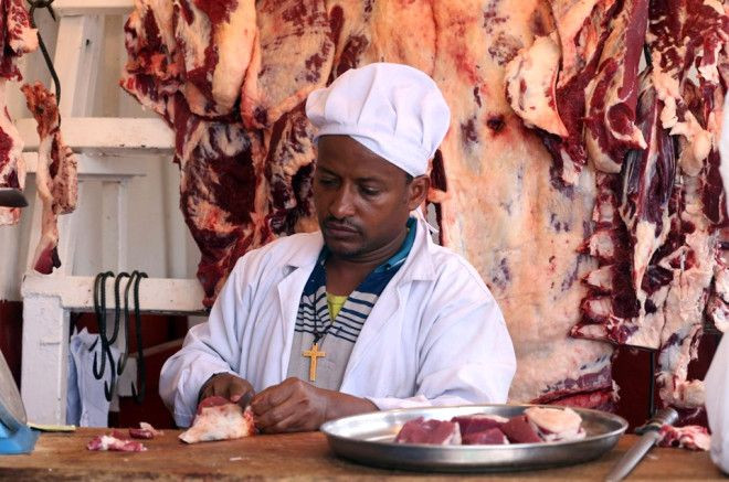 Çiğ etten vazgeçemiyorlar! - Sayfa 7