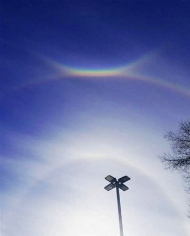 6 köklü diş dişçilerin kabusu oldu! - Sayfa 22