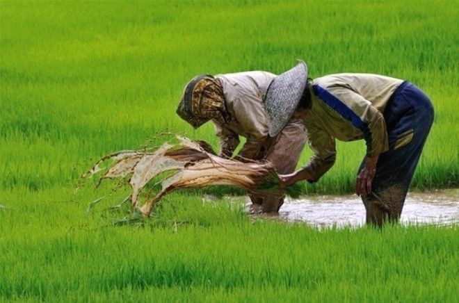 Ekmek parası için her gün bunu yapıyor! - Sayfa 19