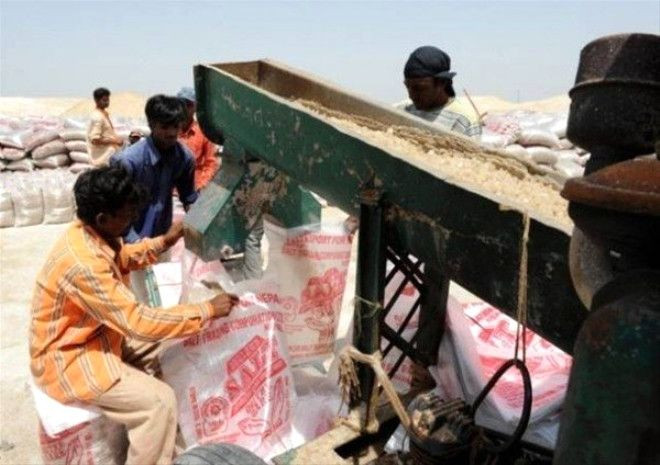 Ekmek parası için her gün bunu yapıyor! - Sayfa 14