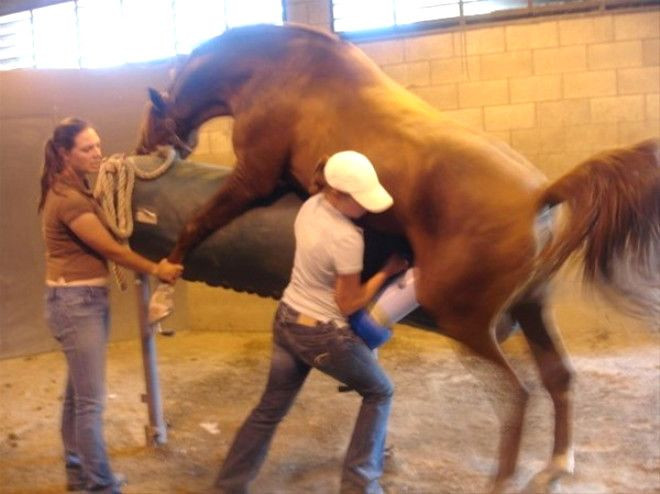 Ekmek parası için her gün bunu yapıyor! - Sayfa 6