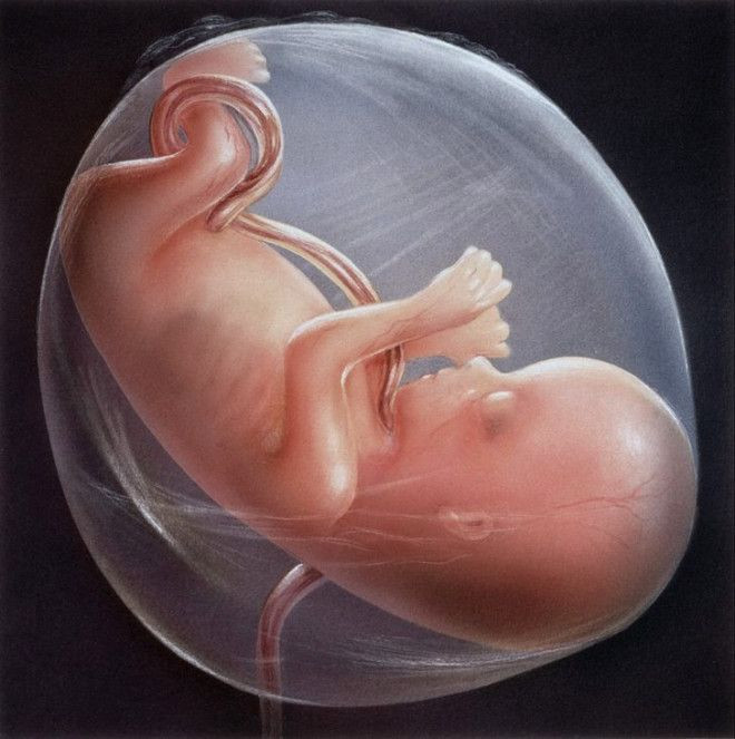 4500 yıllık iskelet tıp tarihini değiştirecek! - Sayfa 21