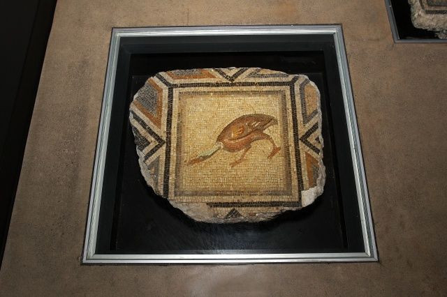 "Çingene Kızı" eksiklerine kavuşuyor! - Sayfa 6