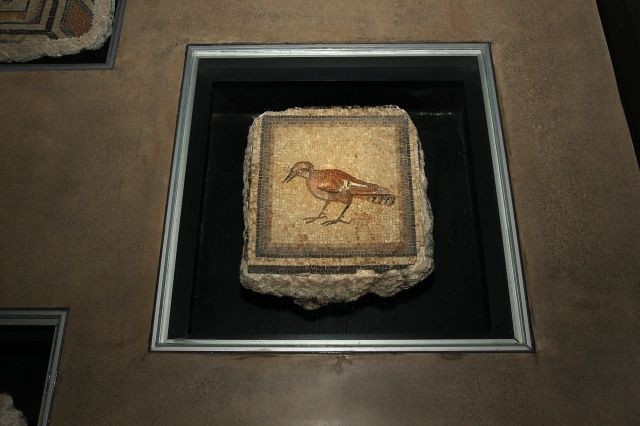 "Çingene Kızı" eksiklerine kavuşuyor! - Sayfa 7