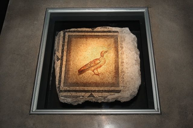 "Çingene Kızı" eksiklerine kavuşuyor! - Sayfa 10