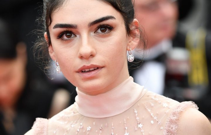 Ahlat Ağacı, Cannes'a damga vurdu! - Sayfa 11