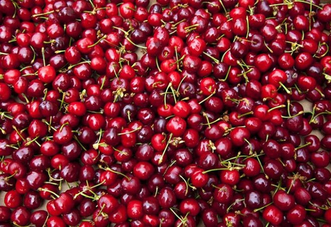 Her gün 1 kase yerseniz bakın ne oluyor! - Sayfa 6