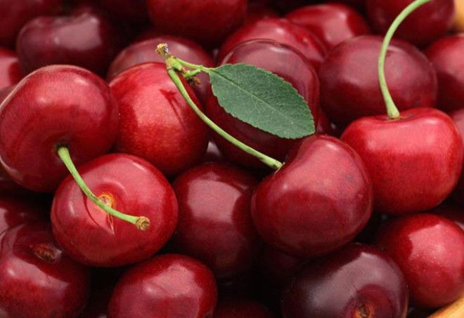 Her gün 1 kase yerseniz bakın ne oluyor! - Sayfa 5