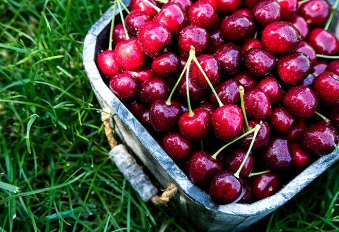 Her gün 1 kase yerseniz bakın ne oluyor! - Sayfa 7