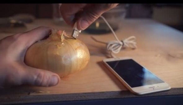 Telefonunuzu soğanla şarj edebilirsiniz! - Sayfa 11