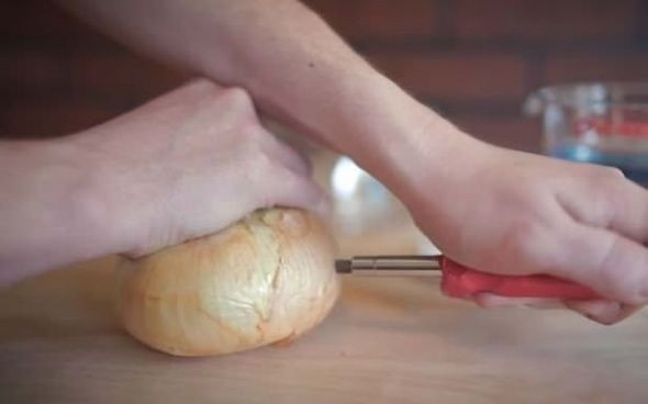 Telefonunuzu soğanla şarj edebilirsiniz! - Sayfa 6