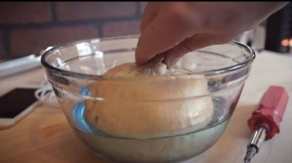 Telefonunuzu soğanla şarj edebilirsiniz! - Sayfa 8