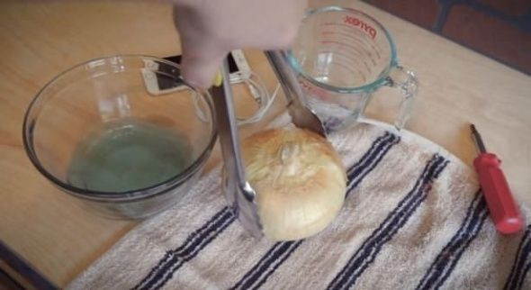 Telefonunuzu soğanla şarj edebilirsiniz! - Sayfa 9