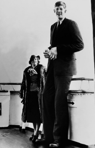 Bir yaşında bir metre boyu vardı... - Sayfa 6