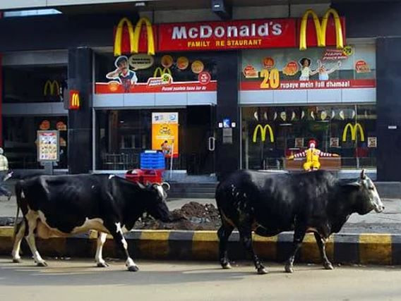Dizilerinden daha garip olan ülke! - Sayfa 7