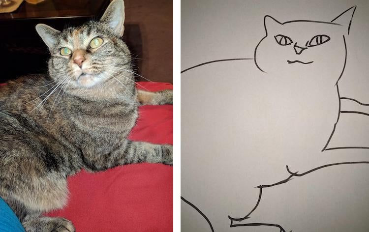 Bir garip kediler... - Sayfa 11