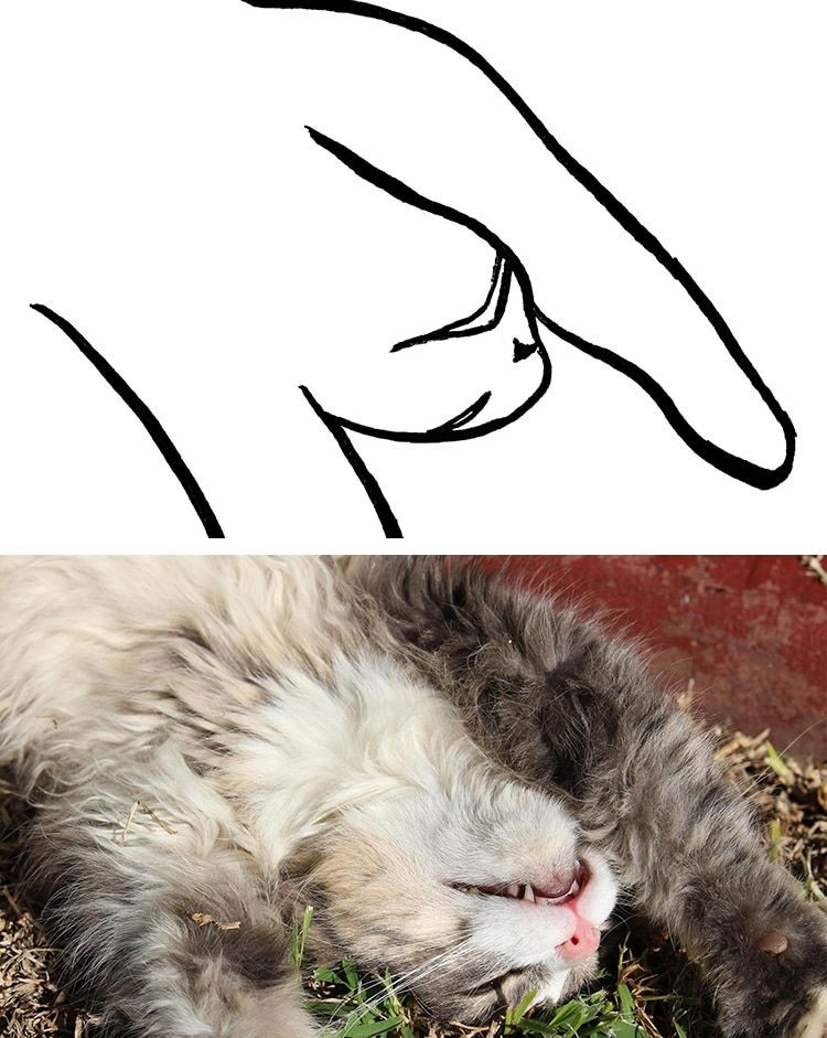 Bir garip kediler... - Sayfa 14