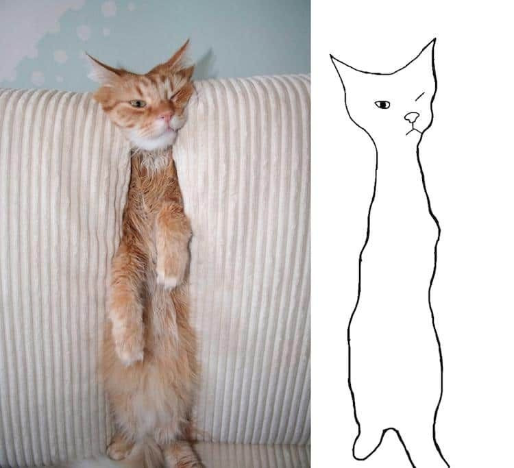 Bir garip kediler... - Sayfa 5