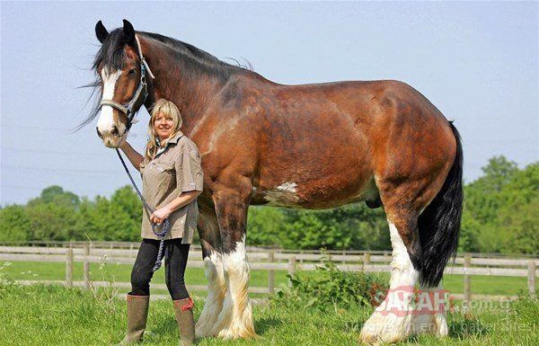 Protein tozu değil, Allah vergisi... - Sayfa 5