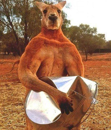 Protein tozu değil, Allah vergisi... - Sayfa 6