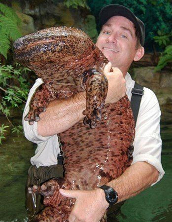 Protein tozu değil, Allah vergisi... - Sayfa 9