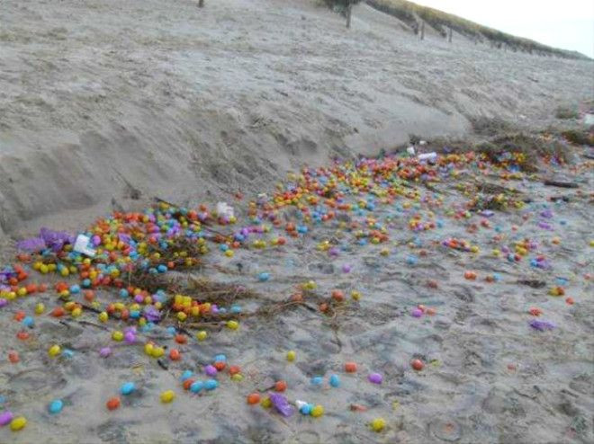 15 metrelik dev yaratık kıyıya vurdu! - Sayfa 14