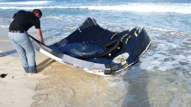 15 metrelik dev yaratık kıyıya vurdu! - Sayfa 9