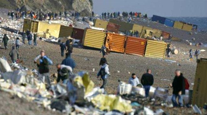 15 metrelik dev yaratık kıyıya vurdu! - Sayfa 6