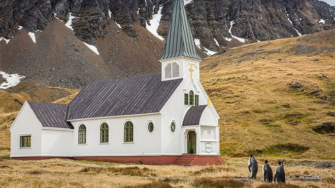 Hayvanlar dünyasının komik sakinleri... - Sayfa 8