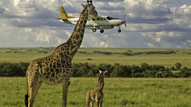 Hayvanlar dünyasının komik sakinleri... - Sayfa 22