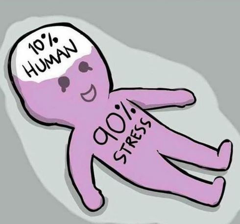 Seçim heyecanı, sosyal medyaya böyle yansıdı... - Sayfa 9