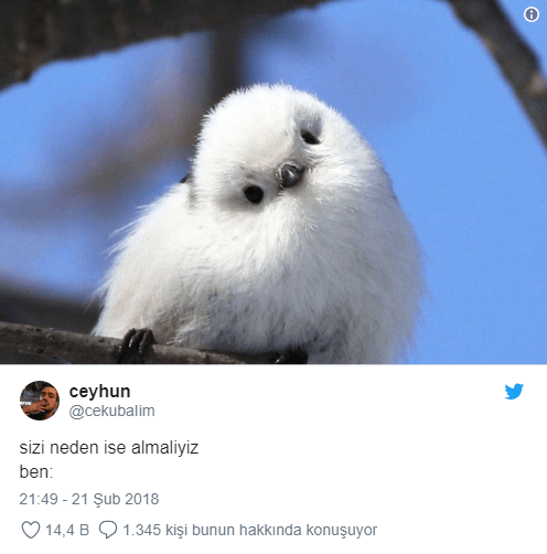 Hafta sonuna iyi başlamanızı sağlayacak tweetler! - Sayfa 13