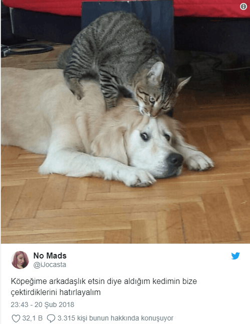 Hafta sonuna iyi başlamanızı sağlayacak tweetler! - Sayfa 15