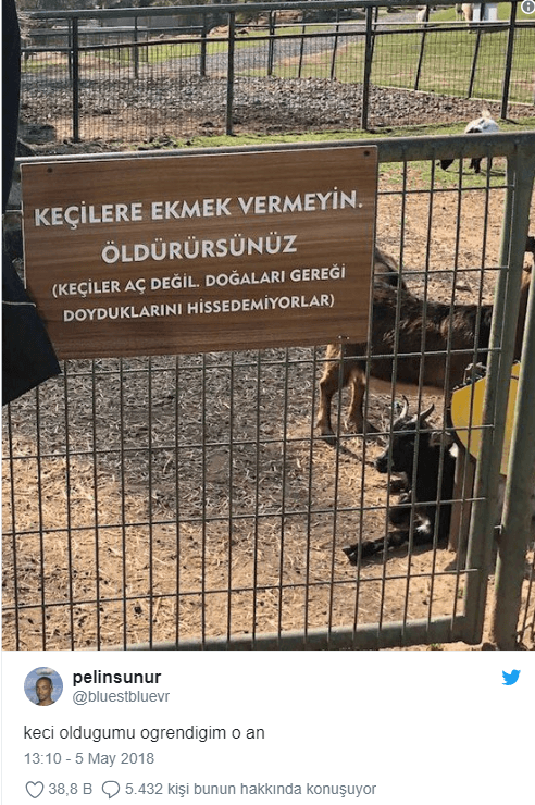 Hafta sonuna iyi başlamanızı sağlayacak tweetler! - Sayfa 34