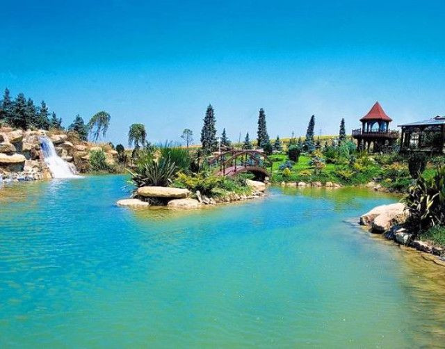 Adnan Oktar'ın dudak uçuklatan mal varlığı! - Sayfa 12