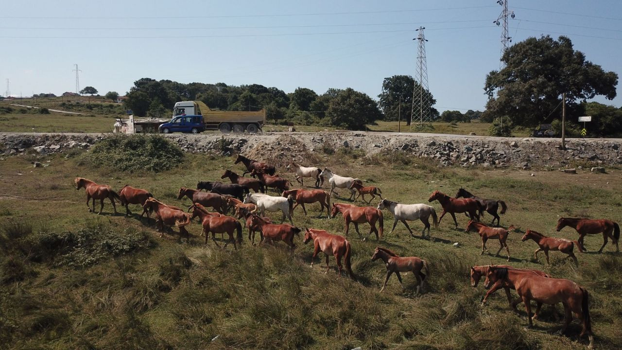 Burası Türkiye'nin ''Hollywood''u Oluyor - Sayfa 10