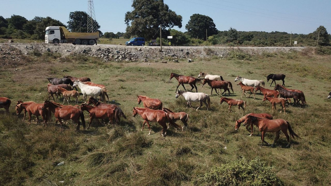 Burası Türkiye'nin ''Hollywood''u Oluyor - Sayfa 9