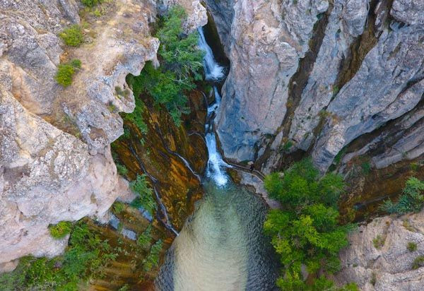 Bozkırın ortasında yemyeşil bir vaha! - Sayfa 12