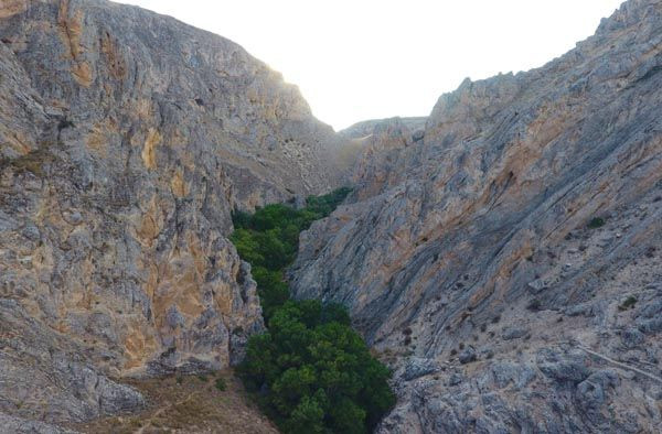 Bozkırın ortasında yemyeşil bir vaha! - Sayfa 6