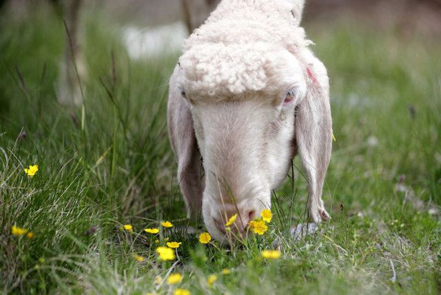 İşte en ilginç zeka soruları... - Sayfa 10