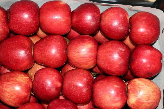 İşte en ilginç zeka soruları... - Sayfa 15