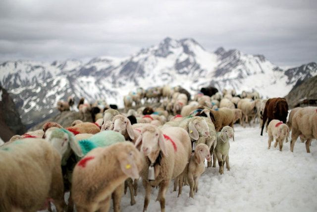 İşte en ilginç zeka soruları... - Sayfa 9