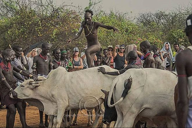 Evlenebilmek için soyunup ineklere bunu yapıyorlar - Sayfa 5