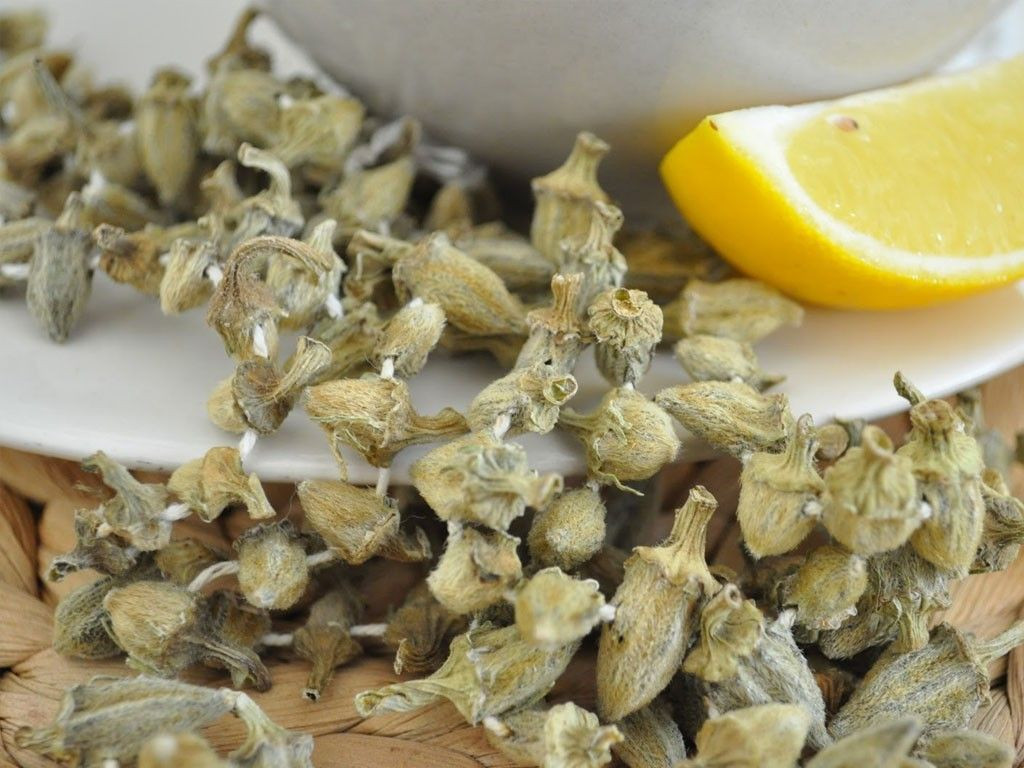 En çok ölüme sebep olan 3 hastalığın ilacı: Bamya - Sayfa 16