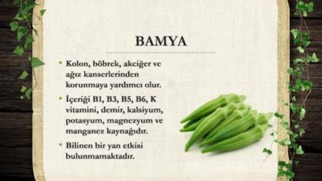 En çok ölüme sebep olan 3 hastalığın ilacı: Bamya - Sayfa 6