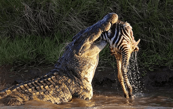 Belgesellerde bile göremeyeceğiniz doğanın gerçek yüzü! - Sayfa 5