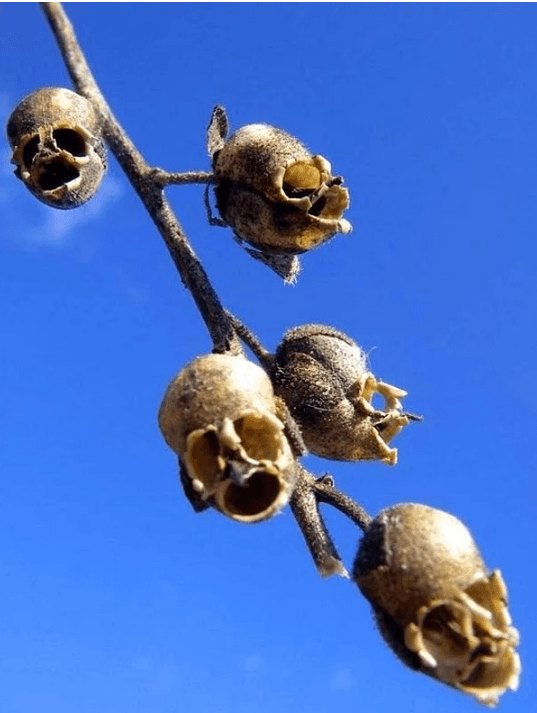 Belgesellerde bile göremeyeceğiniz doğanın gerçek yüzü! - Sayfa 8