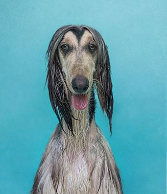 Onları bir de banyodan sonra görün! - Sayfa 28