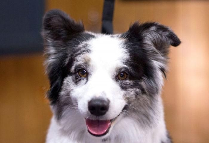 Onları bir de banyodan sonra görün! - Sayfa 5